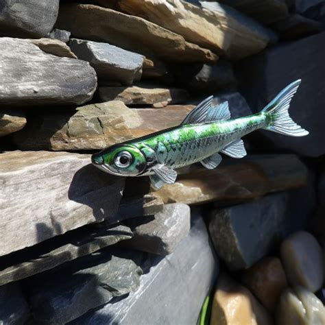 fish 7|Fishes with 7 letters Crosword Clue .